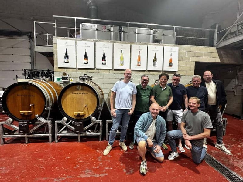 Alicante; Wine Tour, Wineries, Food and Transfer included - Key points to know before booking