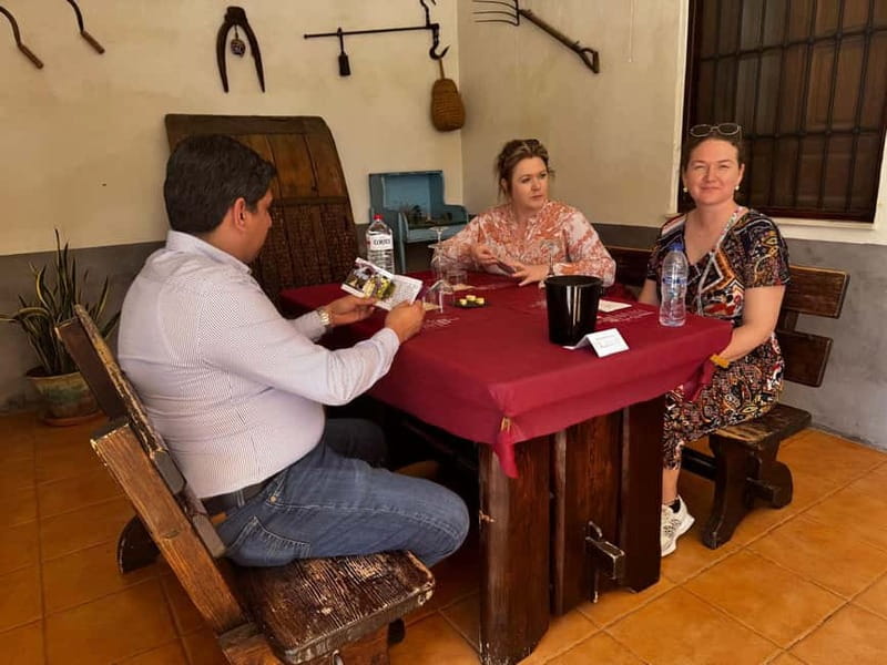 Alicante; Wine Tour, Wineries, Food and Transfer included - What to expect from the winery facilities