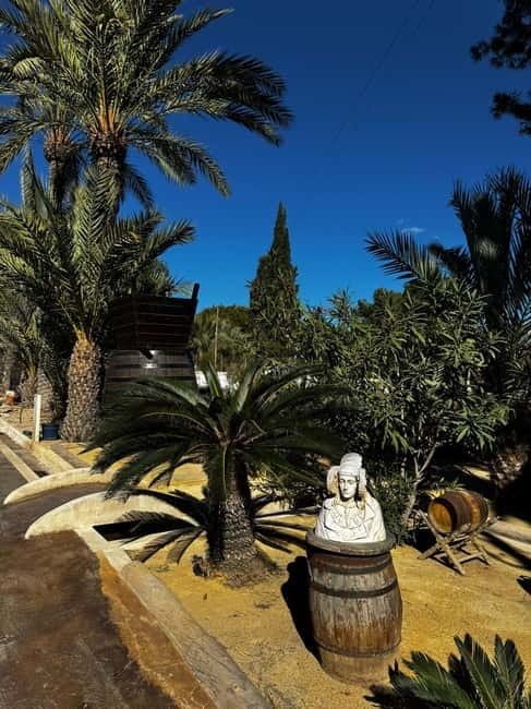 Alicante; Wine Tour, Wineries, Food and Transfer included - Who will enjoy this outing most