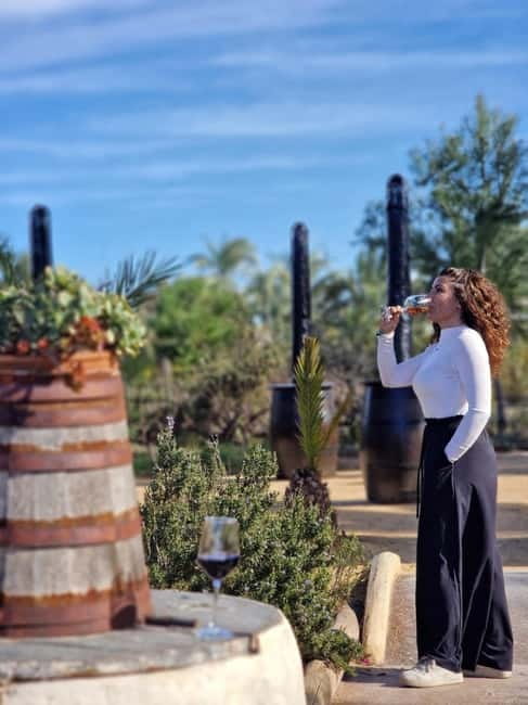 Alicante; Wine Tour, Wineries, Food and Transfer included - Practical tips for a smoother visit