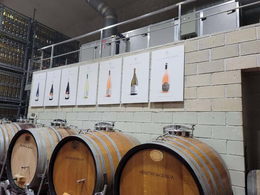 Alicante:Winery Tour+ Wine Tasting + Old castle - Old machines and the winery museum