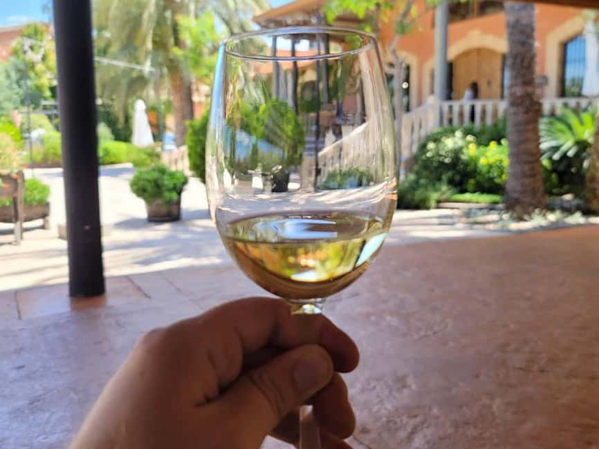 Alicante:Winery Tour+ Wine Tasting + Old castle - Inside the production rooms