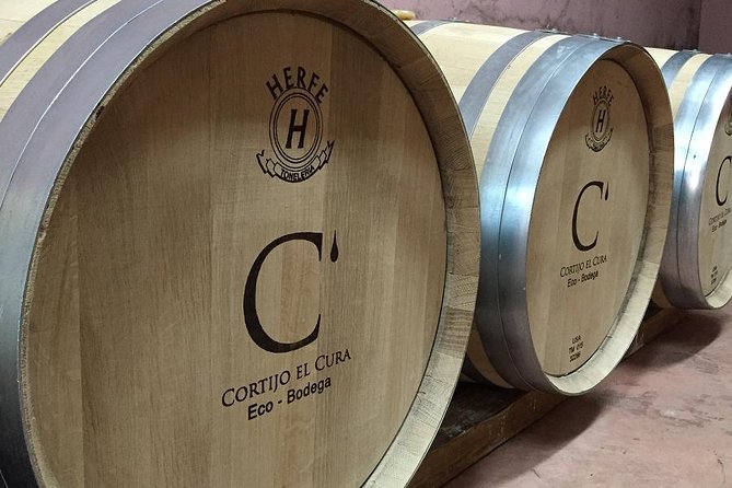 Almería Visit to Eco Winery Cortijo El Cura and wine tasting - Key points at a glance