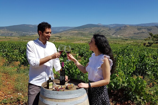 Almería Visit to Eco Winery Cortijo El Cura and wine tasting - Starting at 11:00 a.m. in Laujar de Andarax