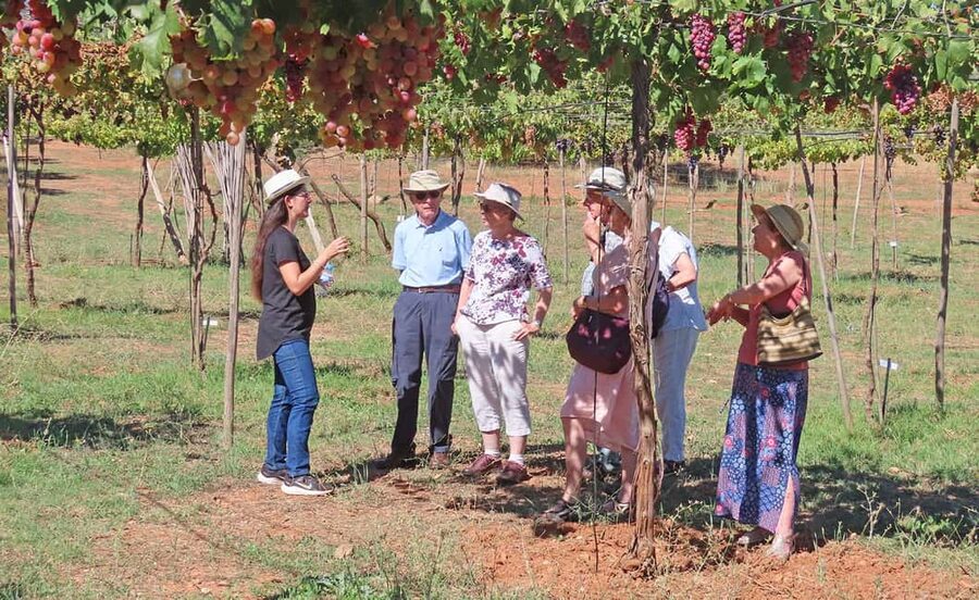 Almería: Wine tour and aperitif from La Alpujarra in Winery - A working farm outside Laujar