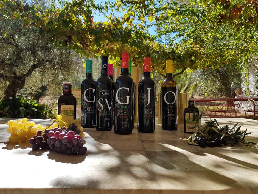 Almería: Wine tour and aperitif from La Alpujarra in Winery - Inside the organic winery