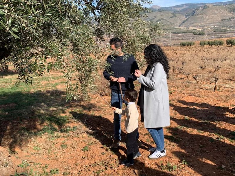 Almería: Wine tour and aperitif from La Alpujarra in Winery - The 52 varieties growing on one traditional parral
