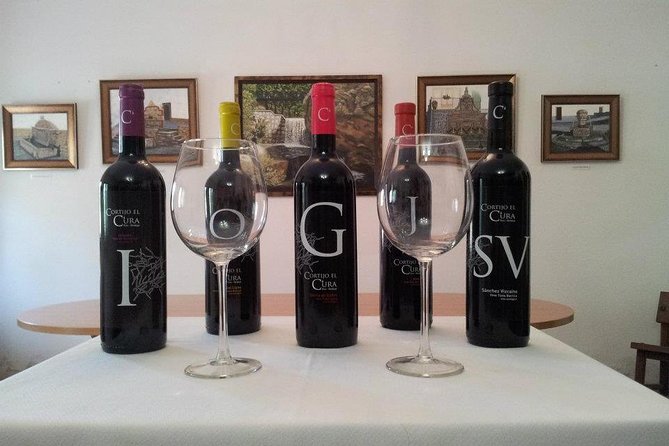 Almería Wine tour and tasting in English in Bio Winery - Key Points Before You Book