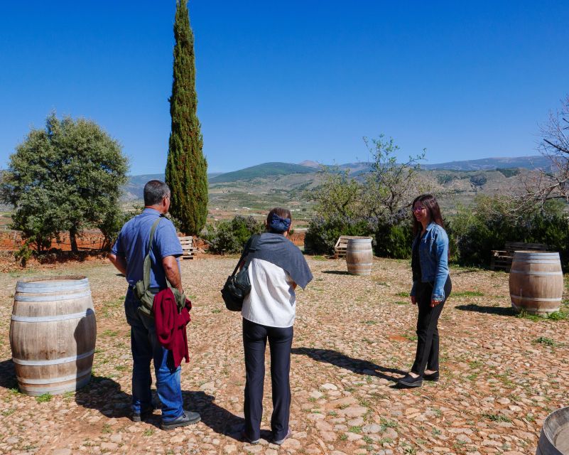 Almería: Wine tour and tasting in Organic Winery - A farm visit before the first glass
