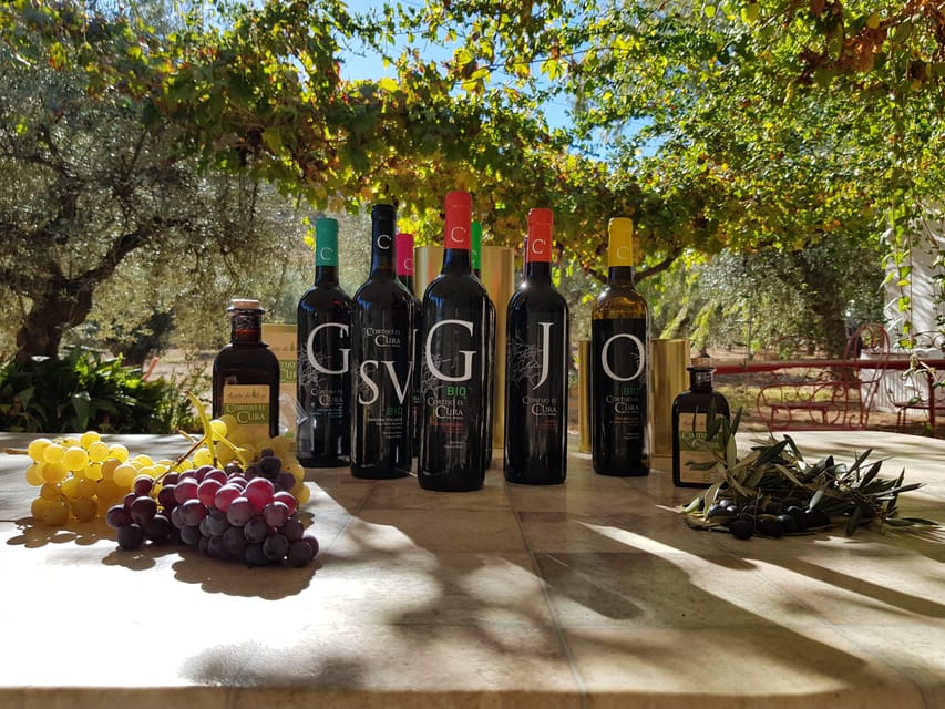 Almería: Wine tour and tasting in Organic Winery - Who should book this winery visit