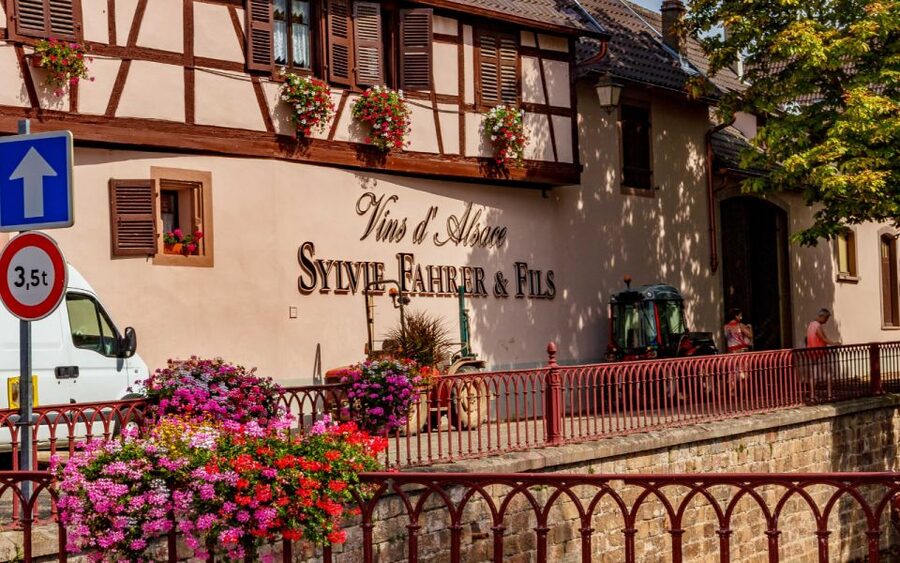 Alsace : Guided winery tour - local wine tasting FRENCH - The winery tour begins with family history