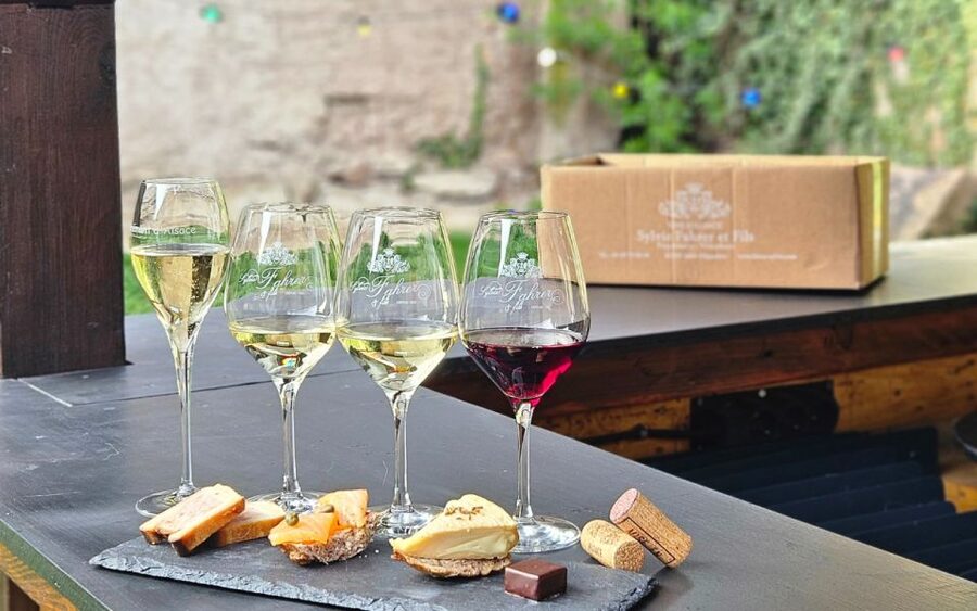 Alsace : Guided winery tour - local wine tasting FRENCH - The standard Alsace wine tasting