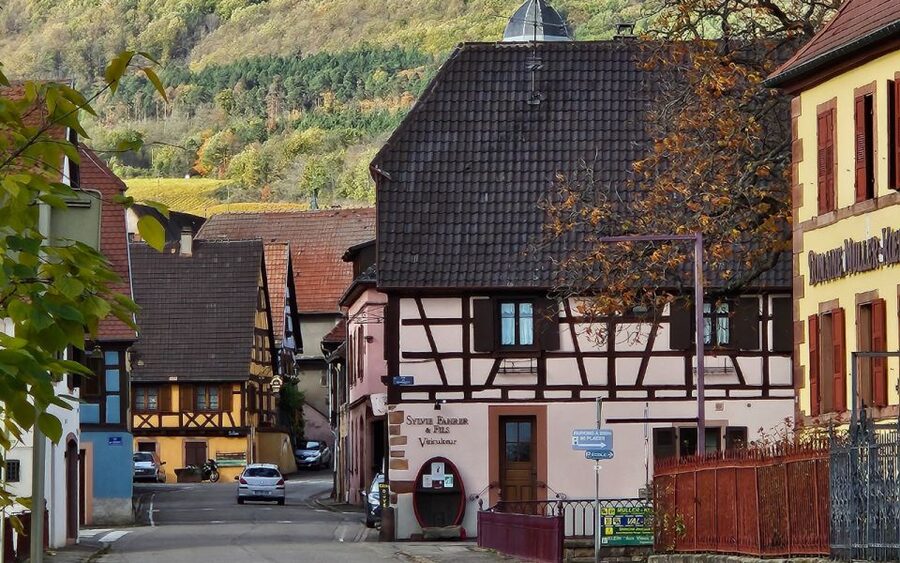 Alsace : Guided winery tour - local wine tasting FRENCH - Four wines with local food pairings