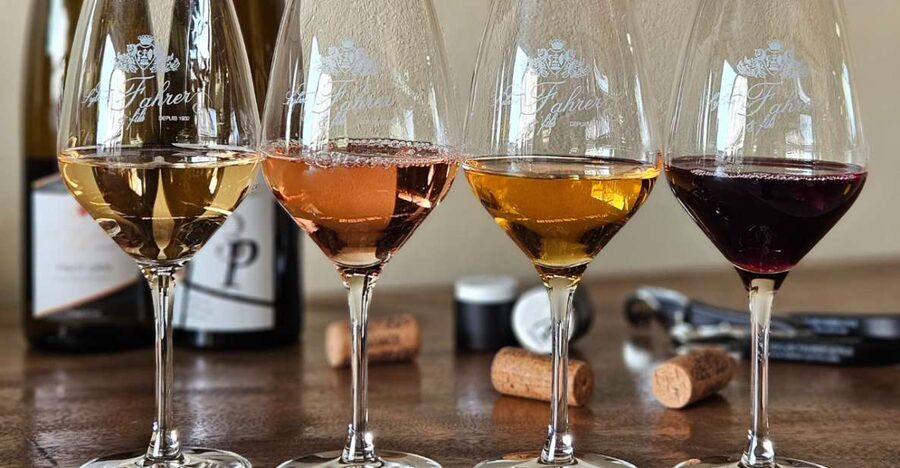 Alsace : Guided winery tour - local wine tasting FRENCH - Is the price fair?