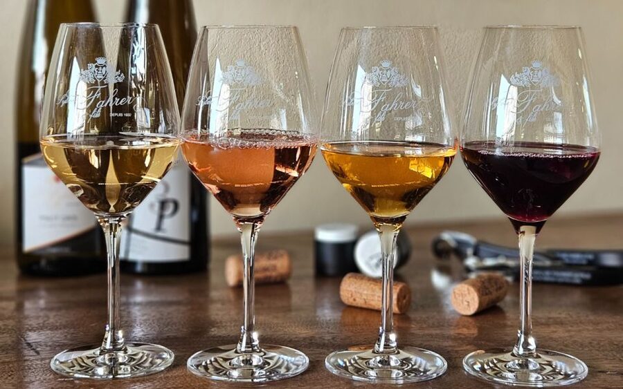 Alsace : Guided winery tour - local wine tasting FRENCH - Who should book this Alsace winery visit?