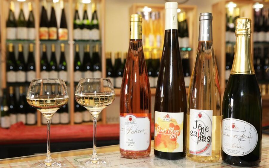 Alsace : Guided winery tour - local wine tasting FRENCH - Cellars, underground tanks, and the working process