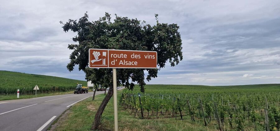 Alsace: The Legendary Wine Road Tour with Tasting and Lunch - Riquewihr closes the village circuit