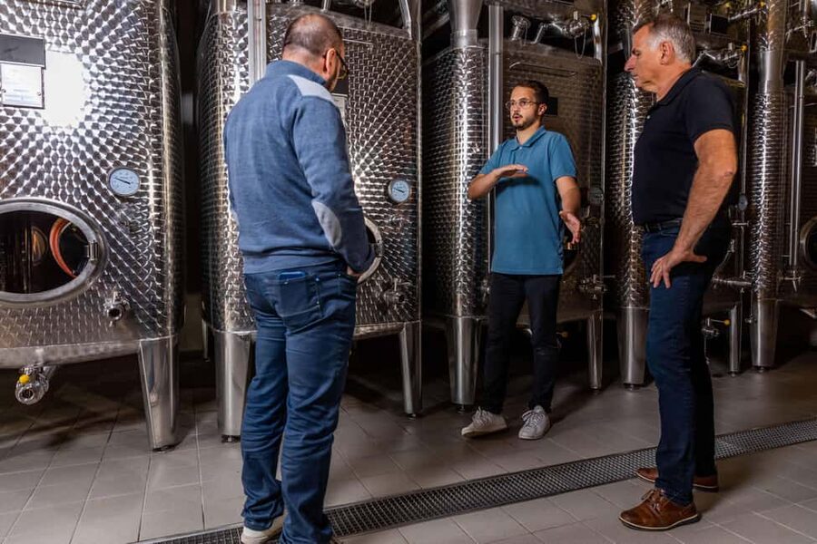 Alsace: Visit and Wine Tasting at Domaine Pierre Adam - Should you book Domaine Pierre Adam?