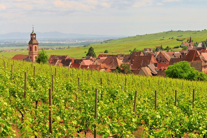 Alsace Wine Route Small Group Half-Day Tour with Tasting from Strasbourg - First winery: an intimate taste of local production