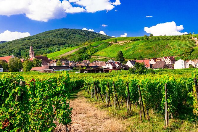 Alsace Wine Route Small Group Half-Day Tour with Tasting from Strasbourg - The caveau and the second tasting