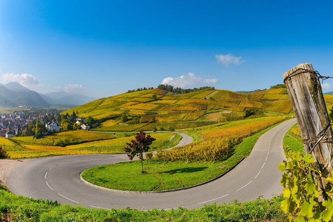 Alsace Wine Route Small Group Half-Day Tour with Tasting from Strasbourg - Price, timing, and overall value