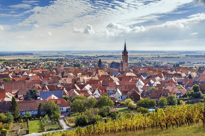 Alsace Wine Route Wineries & Tasting Small Group Guided Tour from Strasbourg - The final two tastings and the human side of wine