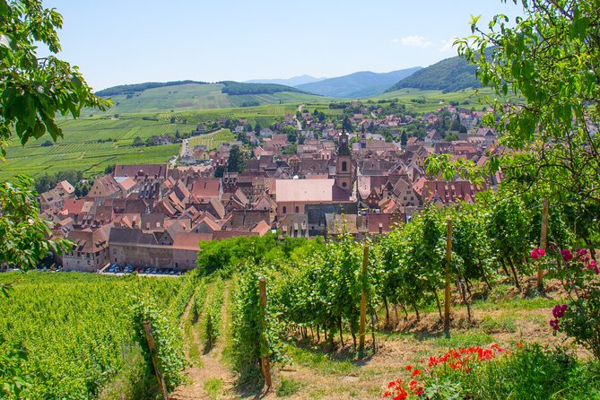 Alsace Wine Route Wineries & Tasting Small Group Guided Tour from Strasbourg - My verdict on this Strasbourg wine tour