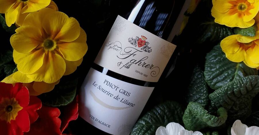 Alsace: Winery Tour and Alsatian Wine Tasting ENGLISH - Key points at a glance