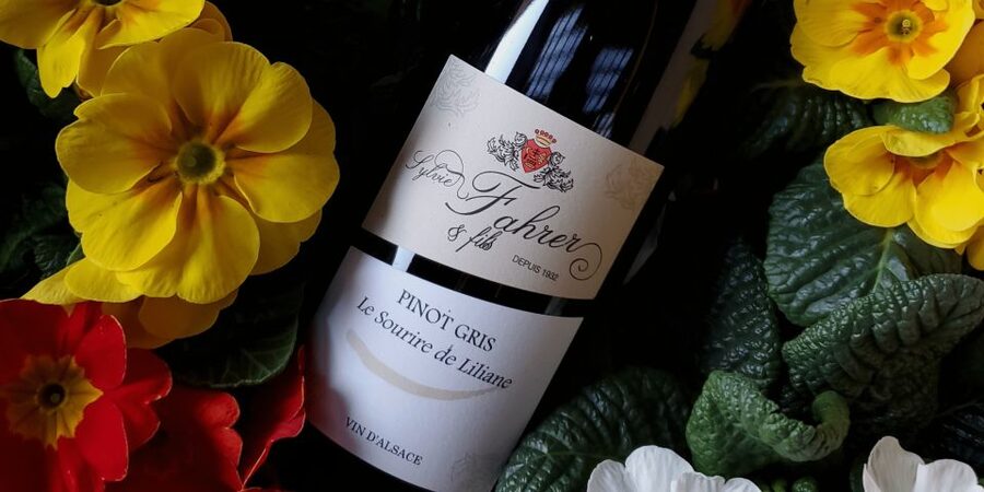 Alsace: Winery Tour and Alsatian Wine Tasting ENGLISH - Starting in the cellar and underground tanks