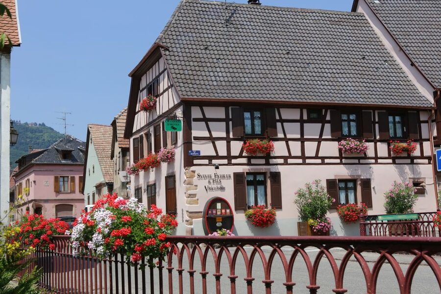 Alsace: Winery Tour & Tasting - From Fermentation to Ageing in the Cellar
