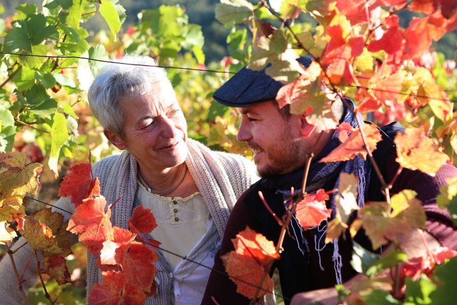 Alsace: Winery Tour & Tasting - Should You Book Domaine Sylvie Fahrer et Fils?