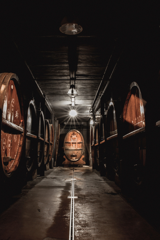 Alsatian Christmas lunch with Immersive wine cellar tour - From an Alsatian family winery to a modern dining room