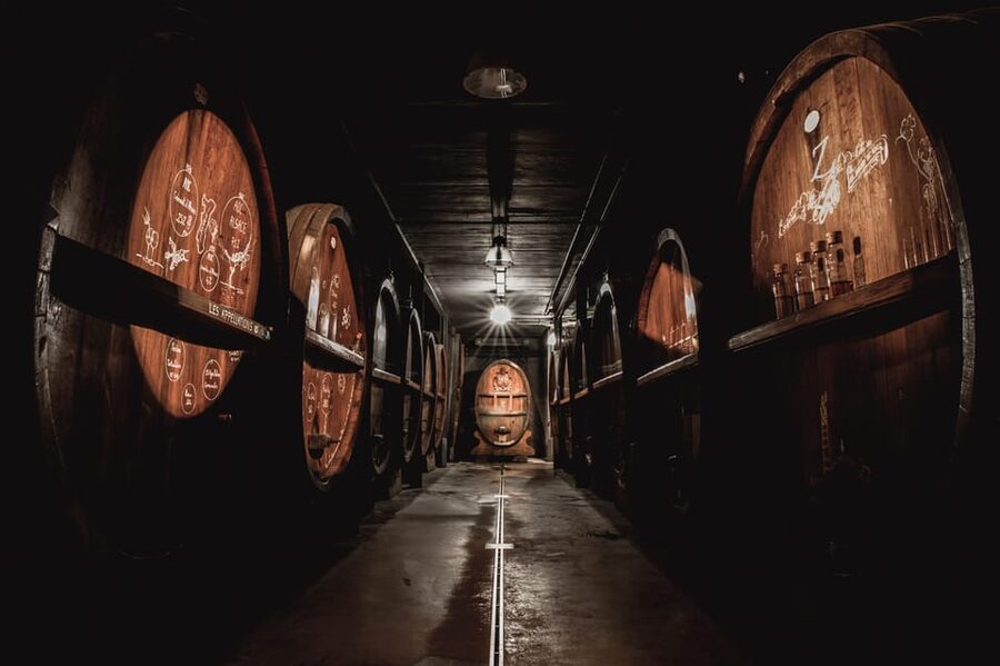 Alsatian Christmas lunch with Immersive wine cellar tour - Who will enjoy this experience most?