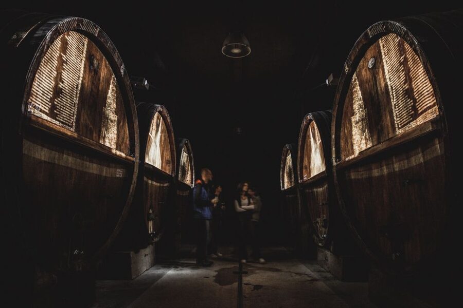 Alsatian Guided Wine Tasting and Immersive wine cellar tour - Key points at a glance