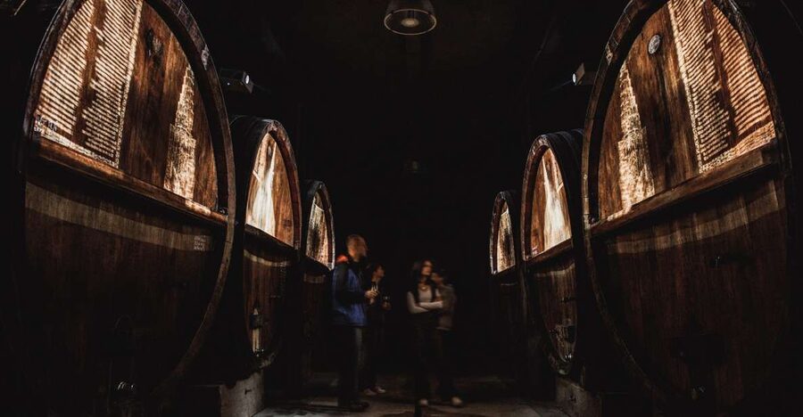 Alsatian Guided Wine Tasting and Immersive wine cellar tour - Why the old barrels matter at Vins Zeyssolff