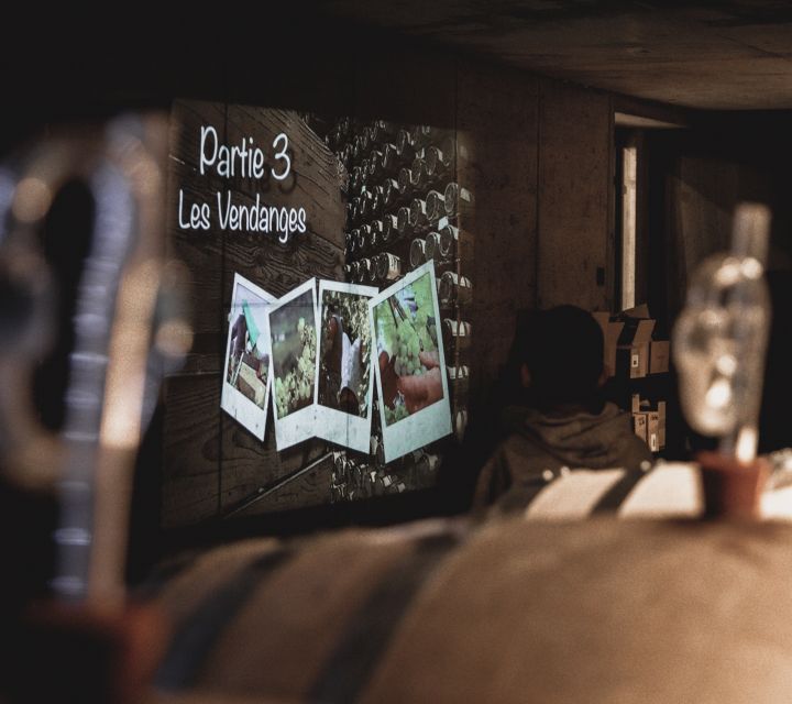Alsatian Guided Wine Tasting and Immersive wine cellar tour - How the 90-minute visit unfolds