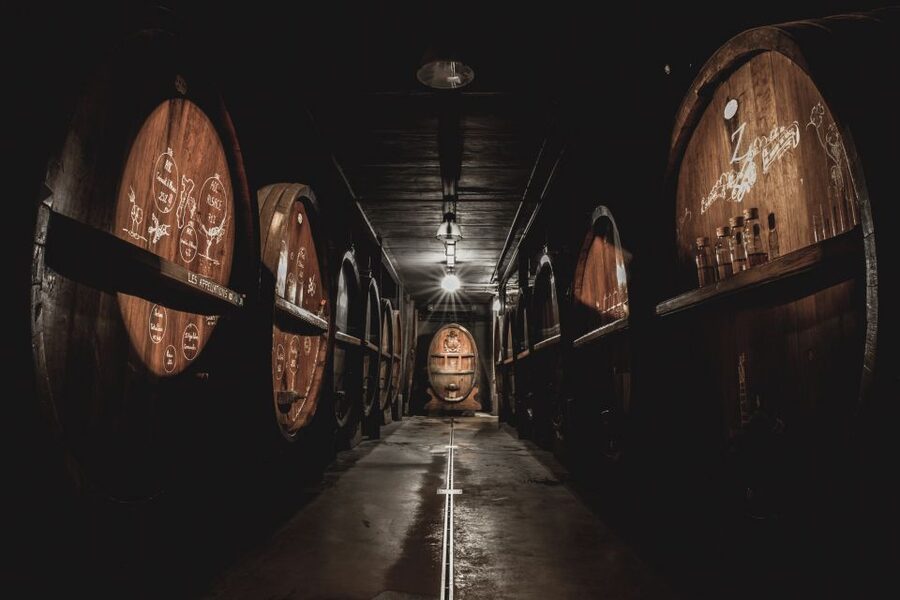 Alsatian Guided Wine Tasting and Immersive wine cellar tour - Is $22 a good price?