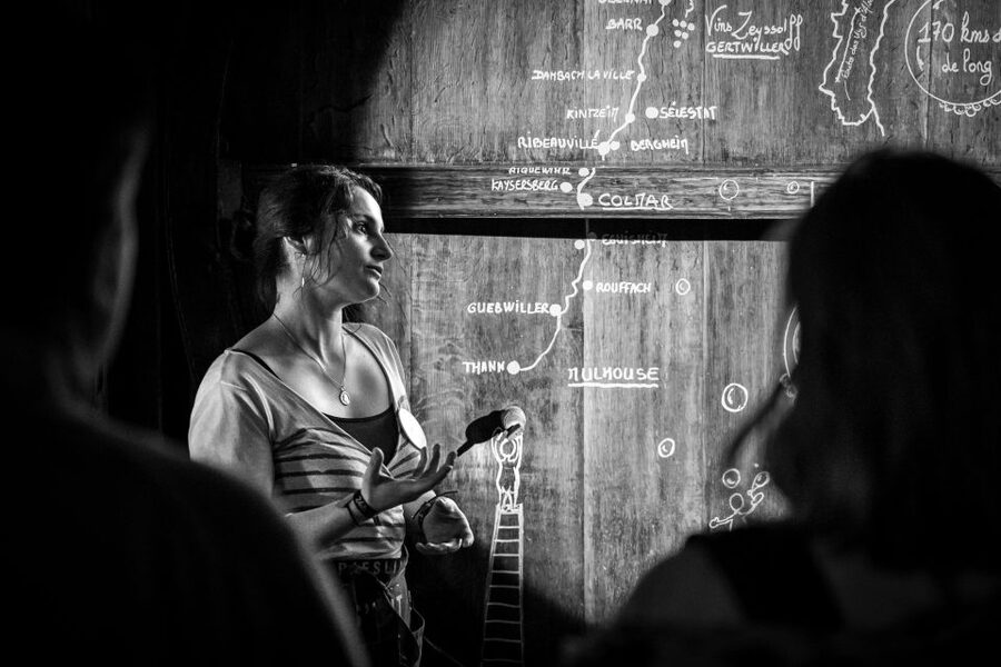 Alsatian Guided Wine Tasting and Immersive wine cellar tour - Language, guides, and the booking choice