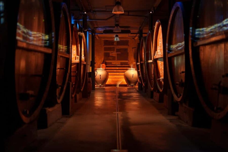Alsatian Guided Wine Tasting and Immersive wine cellar tour - Practical tips for a better tasting
