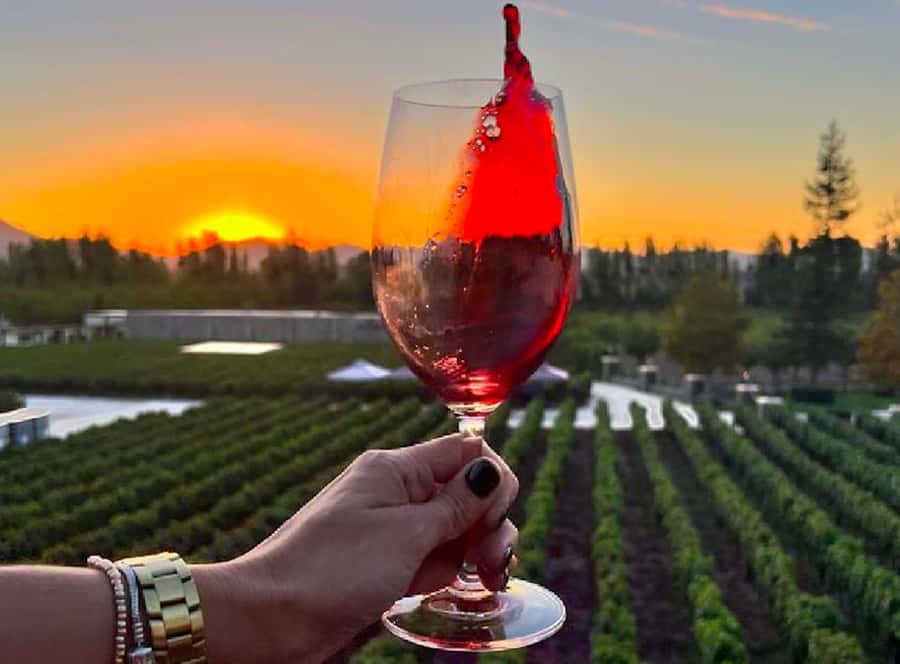 Alyan Family sunset winery - Leaving Santiago for Alyan Family Wines