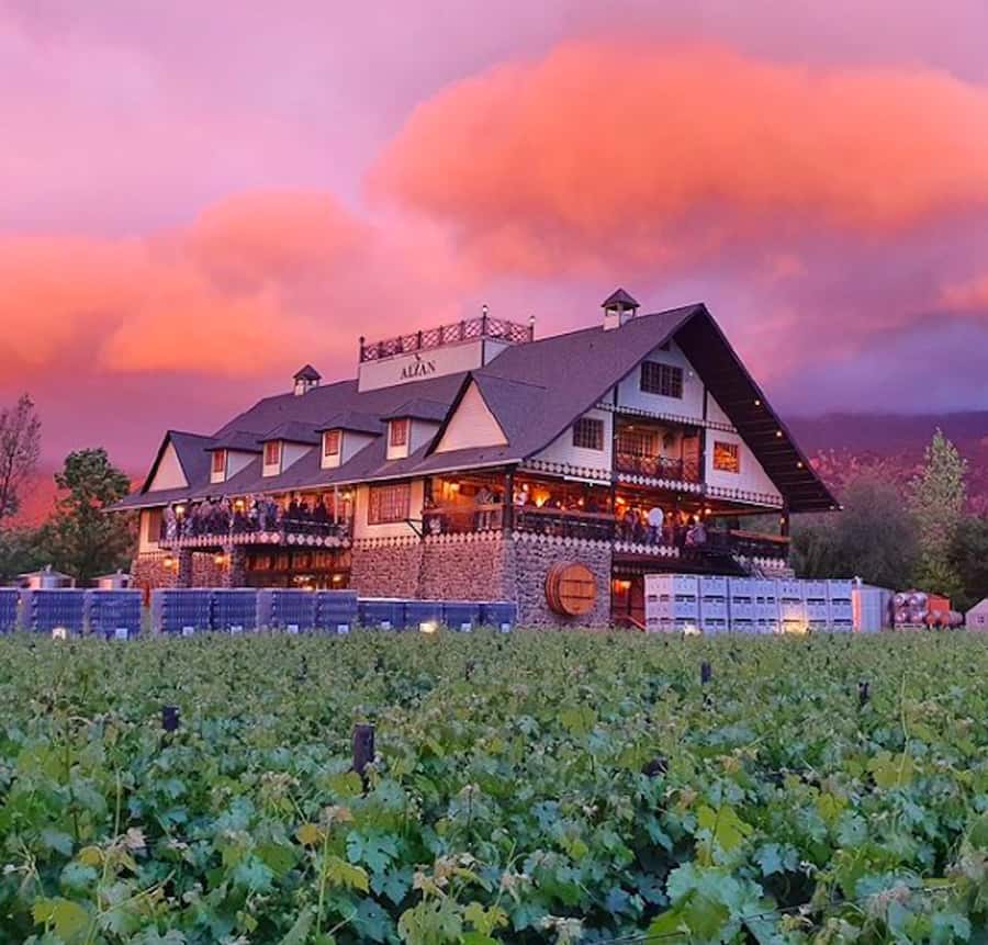 Alyan Family sunset winery - Touring the winery near Santa Rita