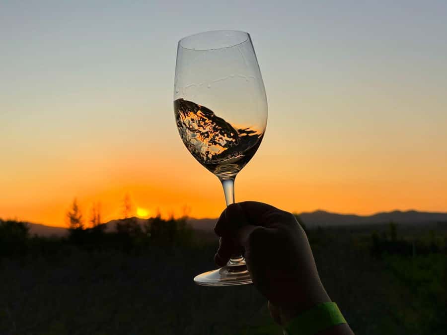 Alyan Family sunset winery - Who will enjoy this evening most?