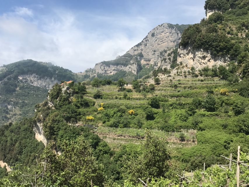 Amalfi: Walking tour between Furore vertical Vineyards - Key points to know before booking