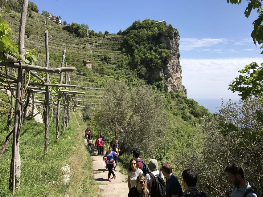 Amalfi: Walking tour between Furore vertical Vineyards - From Santa Barbara to the vertical vineyards