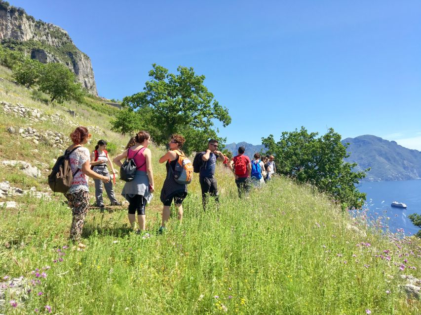 Amalfi: Walking tour between Furore vertical Vineyards - Who will enjoy this more than a standard Amalfi tour