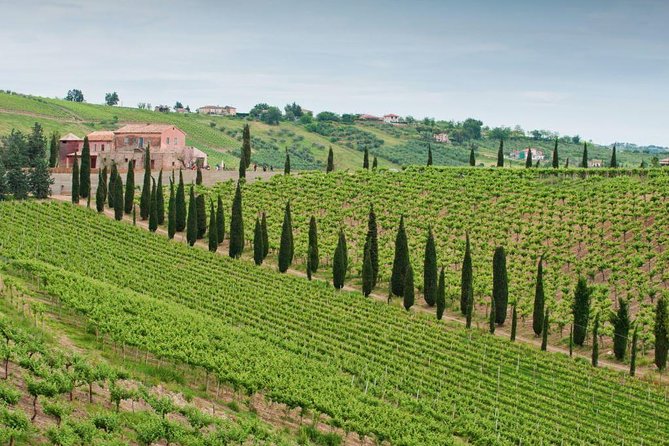Among ancient sunny vineyards, visit and taste the wines from the San Lorenzo cellar - Key details to know before booking