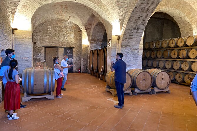 Among ancient sunny vineyards, visit and taste the wines from the San Lorenzo cellar - What the winery portion explains