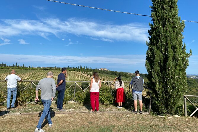 Among ancient sunny vineyards, visit and taste the wines from the San Lorenzo cellar - Practical points for a smooth visit