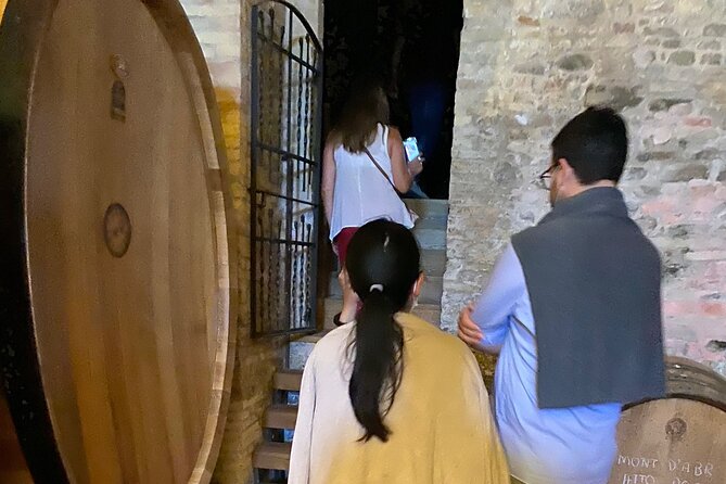 Among ancient sunny vineyards, visit and taste the wines from the San Lorenzo cellar - Who will enjoy Vini San Lorenzo most?