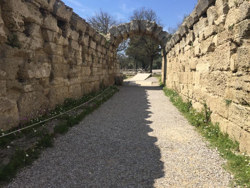 Ancient Olympia: Private Tour site, museum, bee farm, winery - Wine at Olympia Land